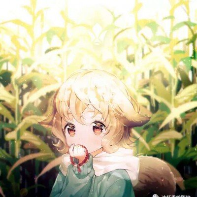 登泰山易 住泰山难